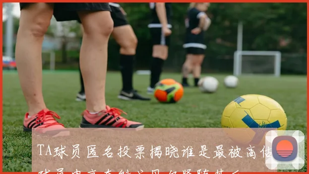 TA球员匿名投票揭晓谁是最被高估球员申京夺魁戈贝尔紧随其后