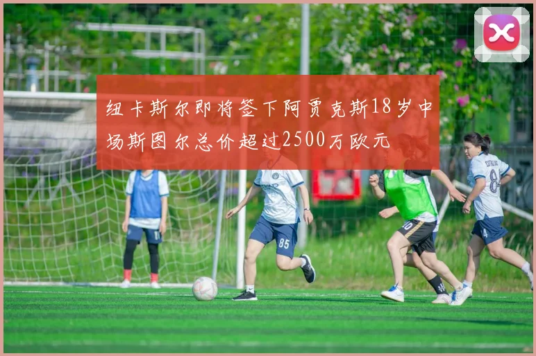 纽卡斯尔即将签下阿贾克斯18岁中场斯图尔总价超过2500万欧元